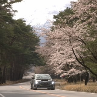 taka415