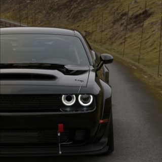 No_name 2010 g