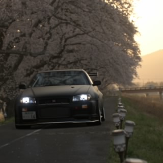 てとら