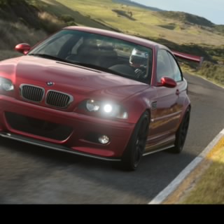 F_daison7