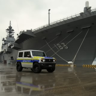 MIZ-31