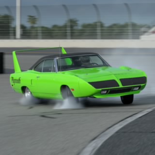 Roadrunner955133