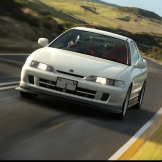جرجير