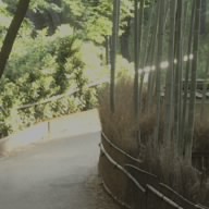 Satoshi Nakamoto