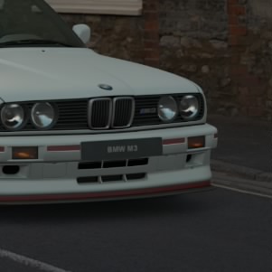 The stig
