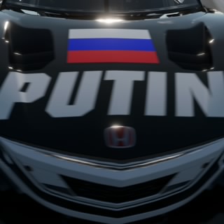 V. Putin