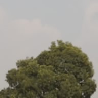 Bikoy 67
