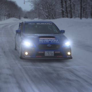 たなしょう