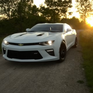 Darth Bumblebee