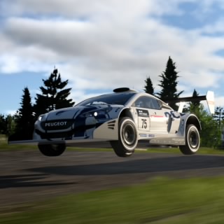 LevyR10