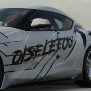Oiselefou17