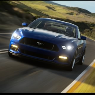 Mustang Dougie