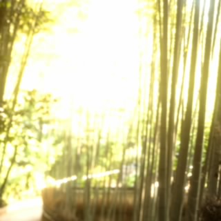 Invisibleredbeam