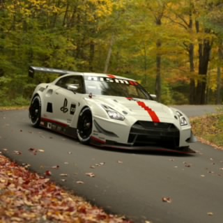 Lupo86