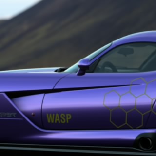 Wasphunter