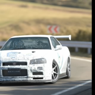 The Stig
