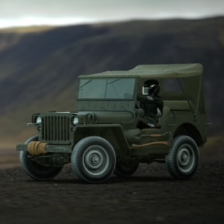 cammo1309