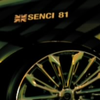 SENCI 81