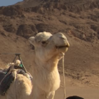 حء