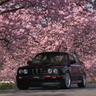 Anhto916