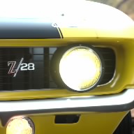 Raato81