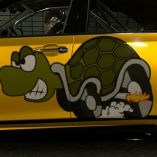 Cecil Turtle