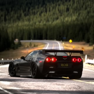 The Stig