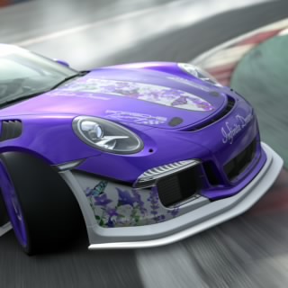 RCSchieck