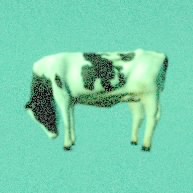 ドンパッチ