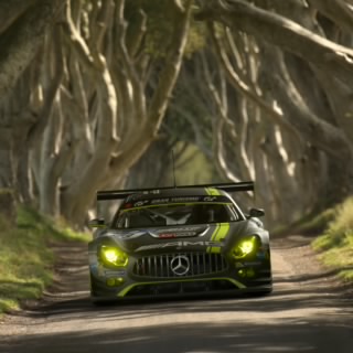 Reptile_NL