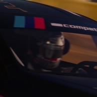Kagu