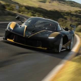 Thebear