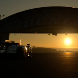 S. Vettel