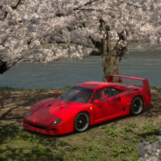zeni DTR