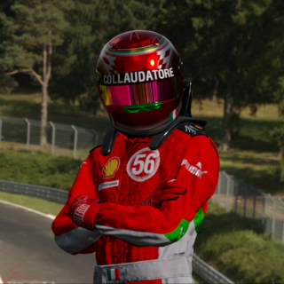 il Collaudatore