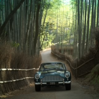 FELSEN FAST
