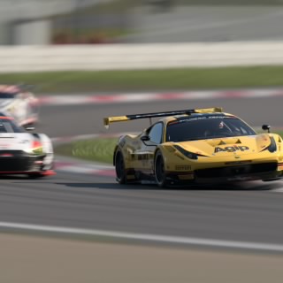 sP141