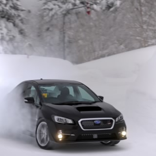 Truli