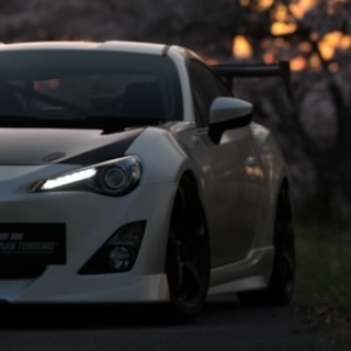 AGRS86