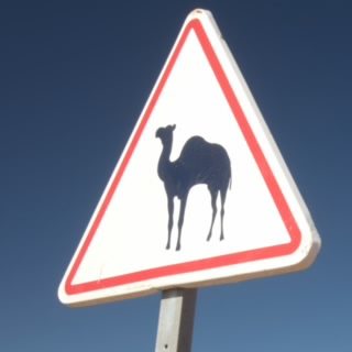 NotRlyFromUK