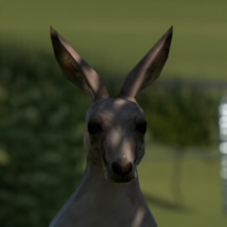 DonBurke69