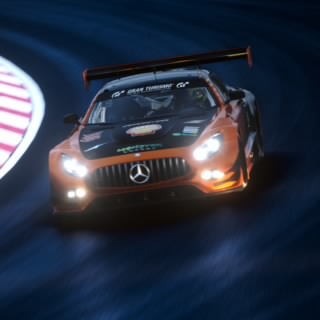 The stig