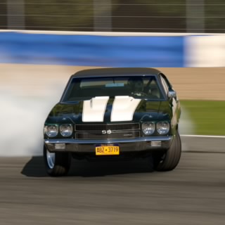 Spaun87