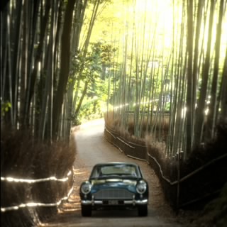 Fr33z