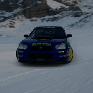Topfkaktus