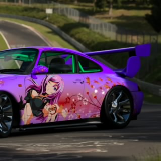 KaribbeanSimR971
