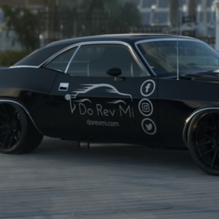 Apex Wolf