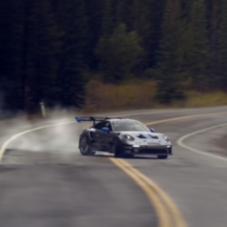 The Stig