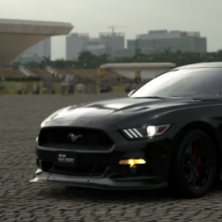CarGuy08