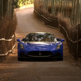 tomfordgt